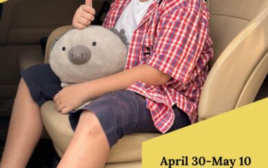  Pre-Monsoonal Promotion (Travel Period May 15-Aug 31) Early Bird Booking 20% discount (booking period – April 30-May 10)